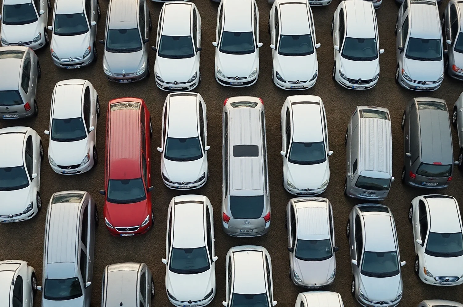 Nuomos automobilių eilės, matomos iš viršaus